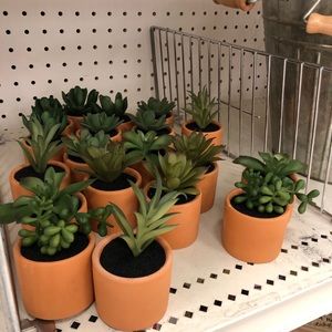 Meet your Posher, Paige